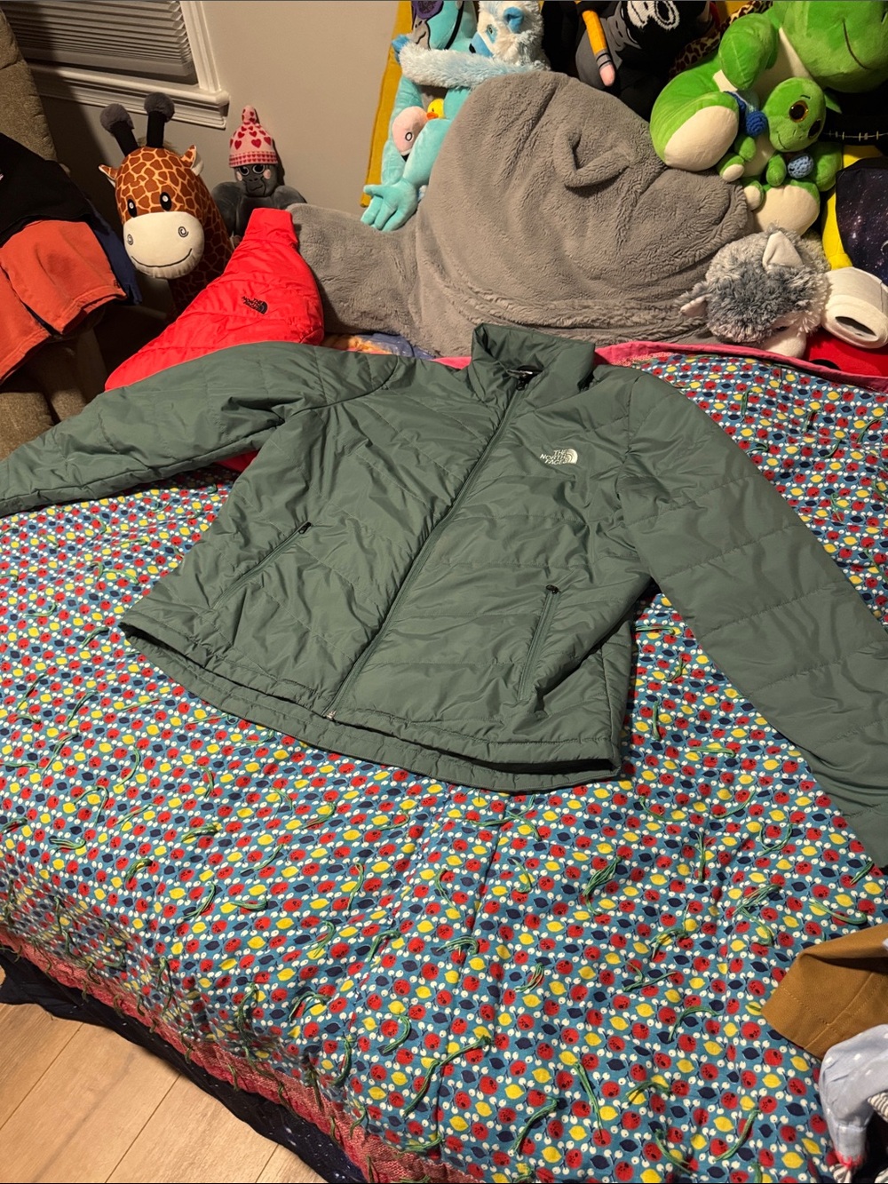 The North Face Women’s Sage Green Puffer Jacket